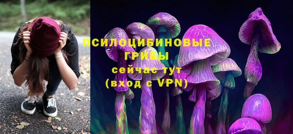 соль курить ск Абаза